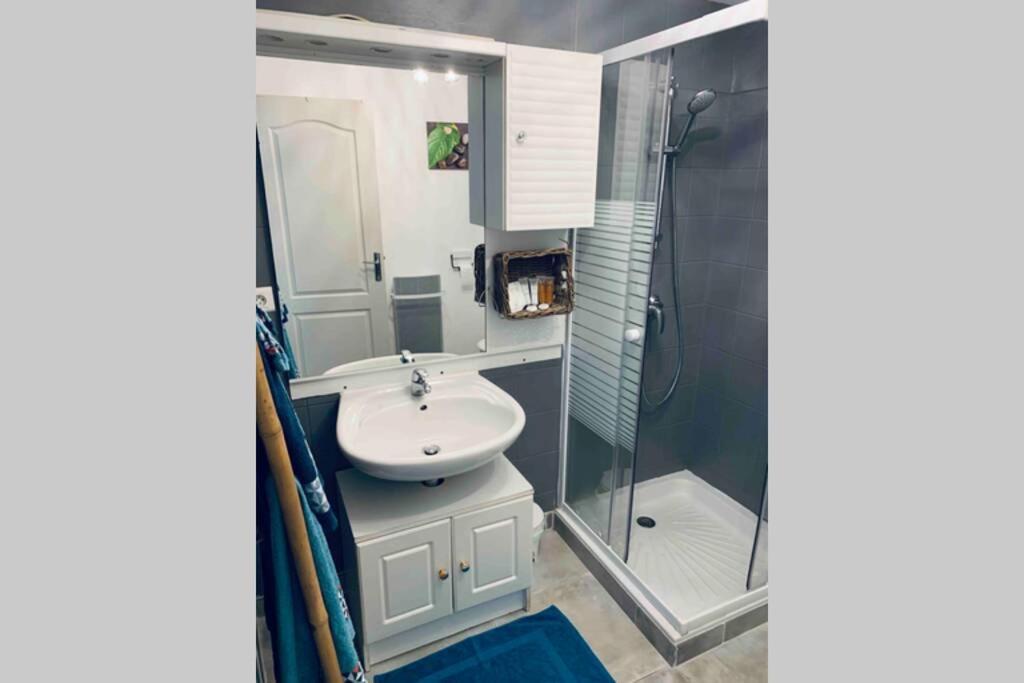 2P Au Coeur Des Montagnes Avec Piscine Chauffee Apartment Puget-Theniers Luaran gambar