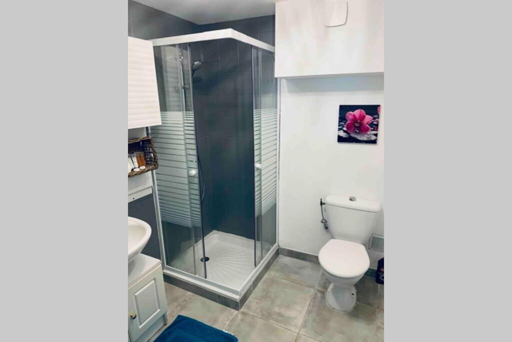 2P Au Coeur Des Montagnes Avec Piscine Chauffee Apartment Puget-Theniers Luaran gambar